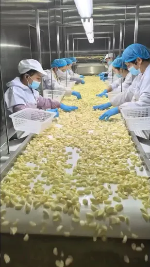 High Quality Garlic Cloves in Brine