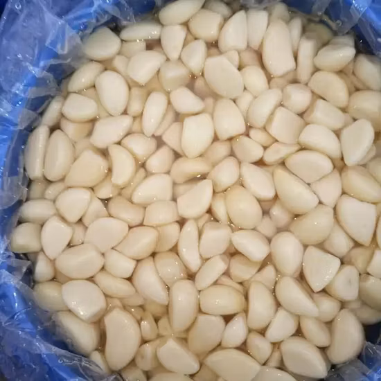 Whole Sale Peeled Garlic in Brine Manufacture