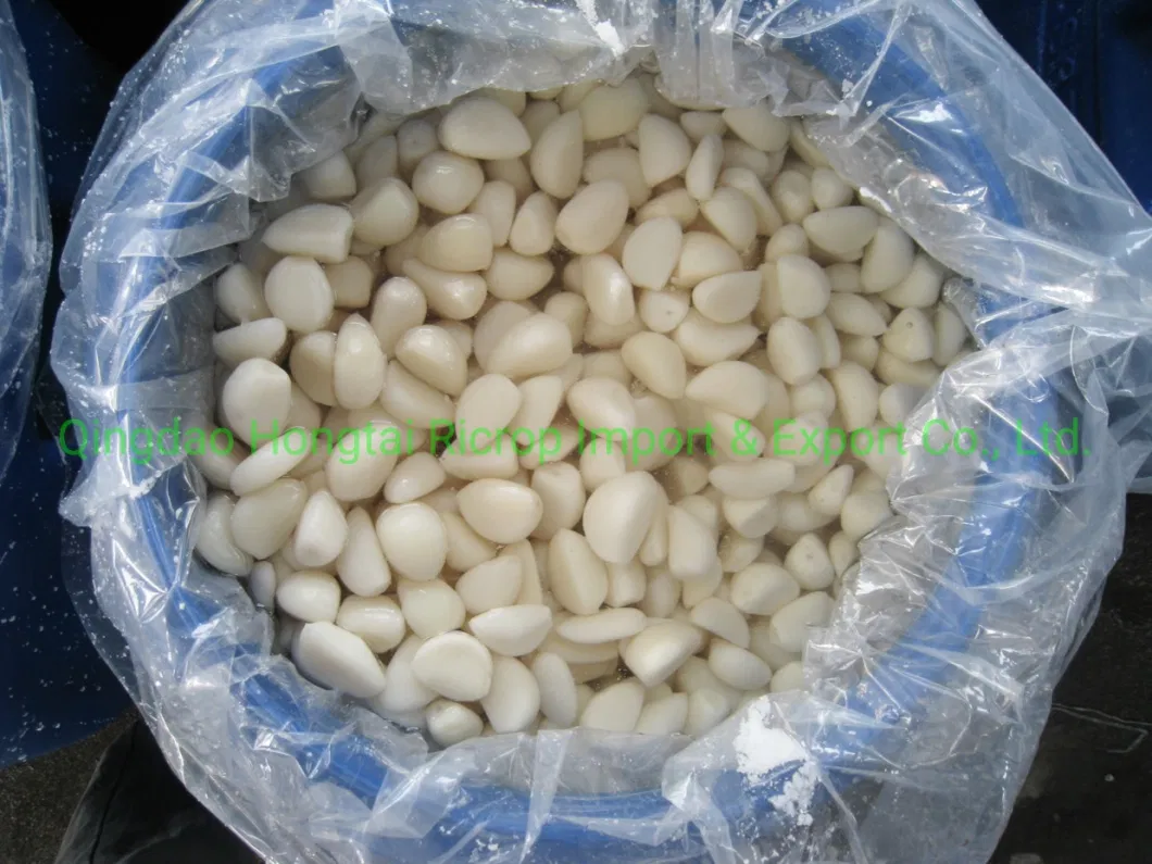 Top Quality Peeled Garlic Cloves in Brine Salted Garlic