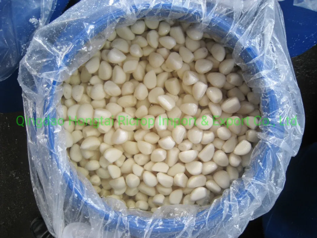 Top Quality Peeled Garlic Cloves in Brine Salted Garlic