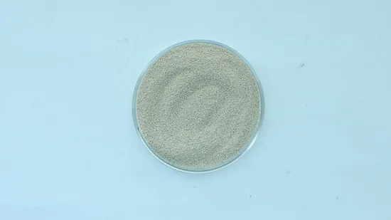 Supplément Gummies Champignons végétaliens Champignons à crinière de lionréférence Fob Pric