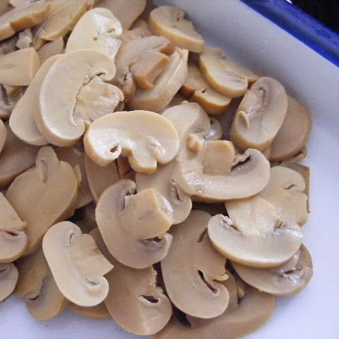 Aliments en conserve sains Champignons en conserve Tranche Pns en saumure