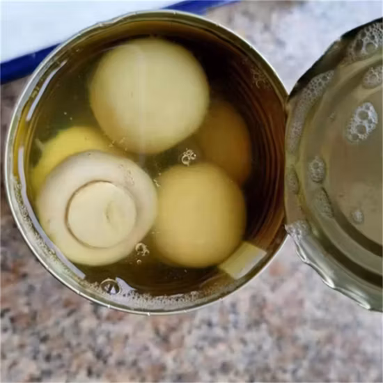 Champignons en conserve salés de meilleure qualité, 800g entiers avec OEM
