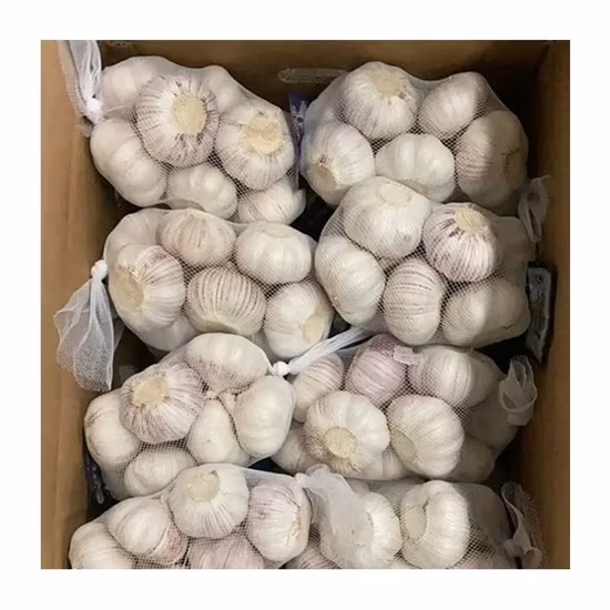 Nouveau Vente en gros Jiangsu bon prix exportation Solo pur pelé frais séché Normal/Super blanc déshydraté ail